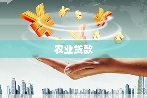 湾仔区农业贷款