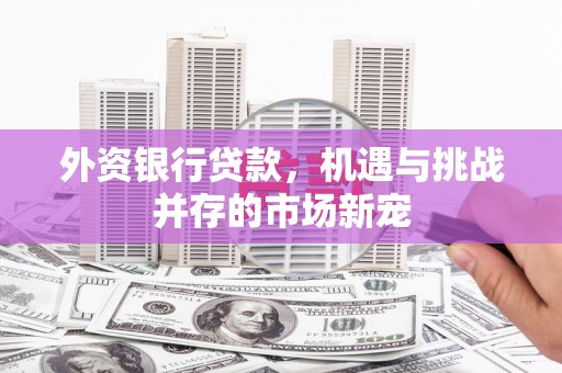 凤泉外资银行贷款，机遇与挑战并存的市场新宠