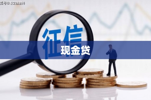 云南现金贷