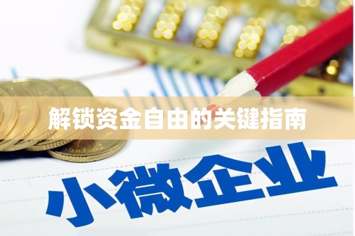巧家解锁资金自由的关键指南
