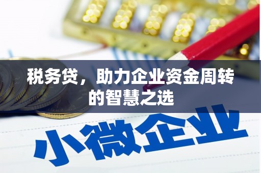 文昌税务贷，助力企业资金周转的智慧之选