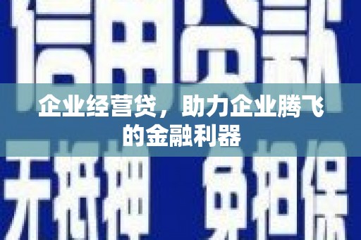 杭锦后旗企业经营贷，助力企业腾飞的金融利器