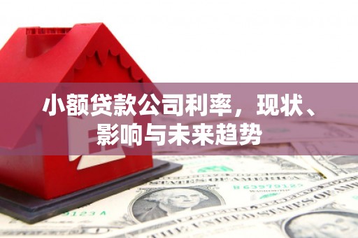 吉水小额贷款公司利率，现状、影响与未来趋势