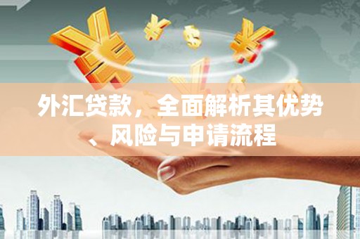 凤山外汇贷款，全面解析其优势、风险与申请流程