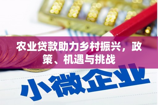 岱岳农业贷款助力乡村振兴，政策、机遇与挑战