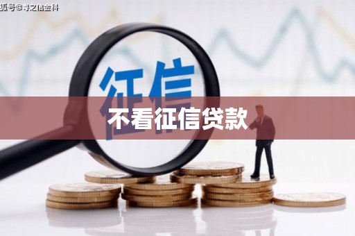 武隆不看征信贷款