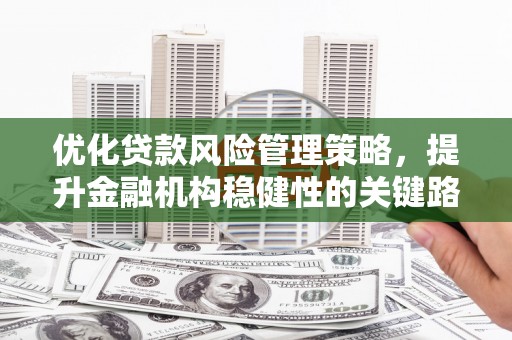 曲江优化贷款风险管理策略，提升金融机构稳健性的关键路径