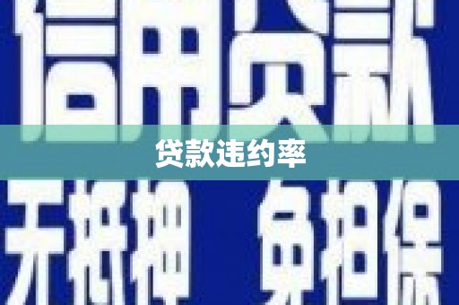 海原贷款违约率