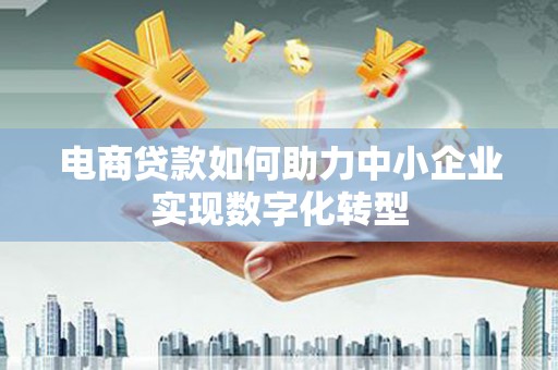嵊泗电商贷款如何助力中小企业实现数字化转型