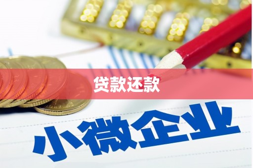 疏附贷款还款