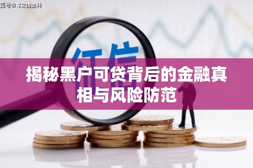 双桥揭秘黑户可贷背后的金融真相与风险防范