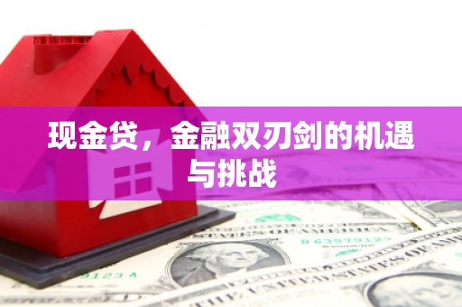 夏邑现金贷，金融双刃剑的机遇与挑战