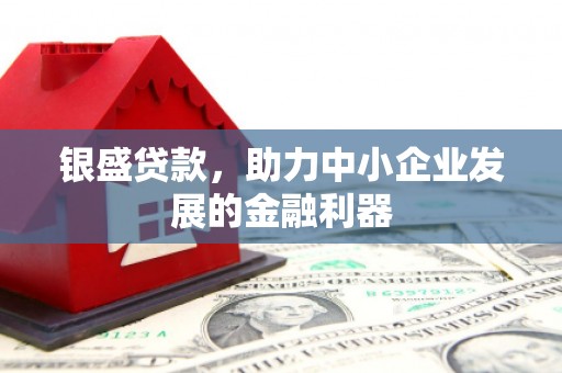 万丹银盛贷款，助力中小企业发展的金融利器