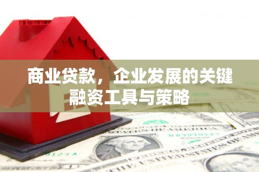 嘉祥商业贷款，企业发展的关键融资工具与策略