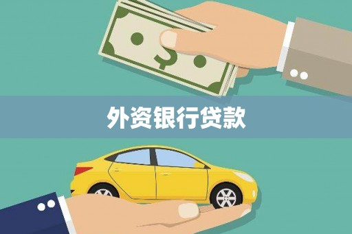 凤翔外资银行贷款