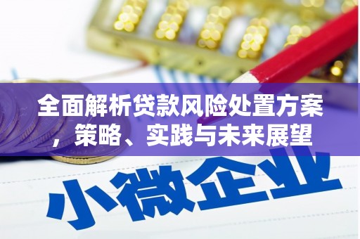 巩留全面解析贷款风险处置方案，策略、实践与未来展望