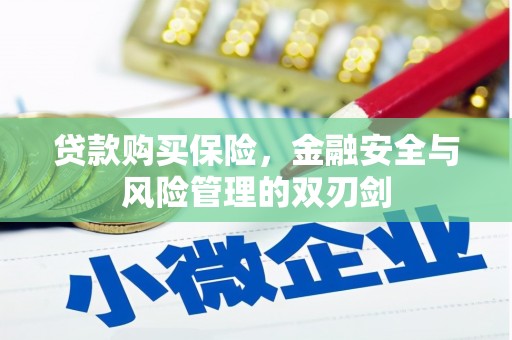 崆峒贷款购买保险，金融安全与风险管理的双刃剑