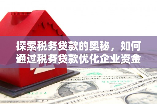 那曲探索税务贷款的奥秘，如何通过税务贷款优化企业资金流