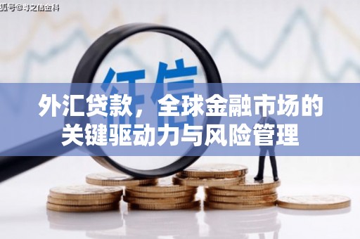 汕尾外汇贷款，全球金融市场的关键驱动力与风险管理