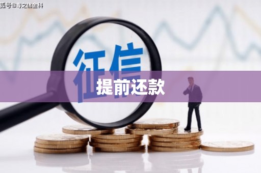 行唐提前还款