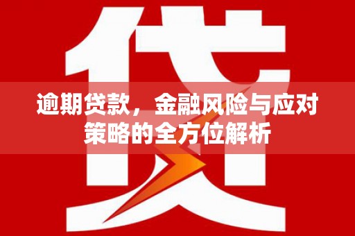 吴桥逾期贷款，金融风险与应对策略的全方位解析