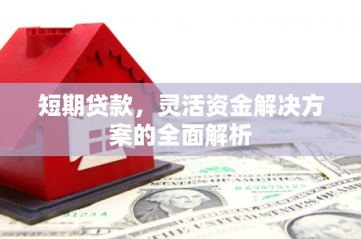 禄丰短期贷款，灵活资金解决方案的全面解析