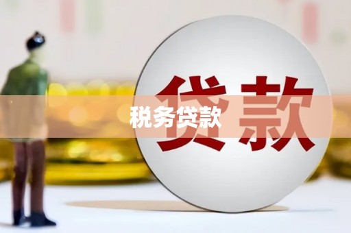 江西税务贷款