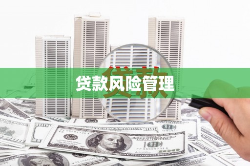 临县贷款风险管理