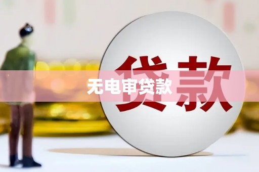 从化无电审贷款