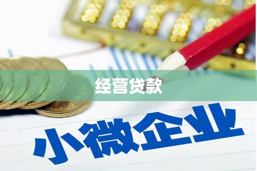 阿里山经营贷款