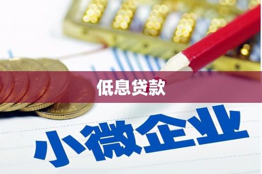 曲麻莱低息贷款