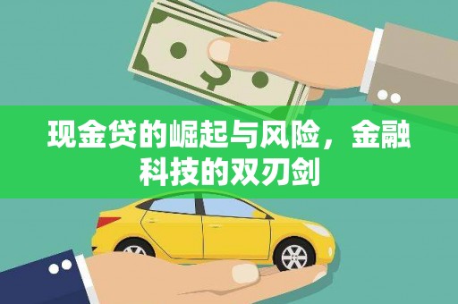 上林现金贷的崛起与风险，金融科技的双刃剑