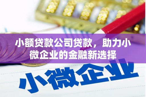 临安小额贷款公司贷款，助力小微企业的金融新选择
