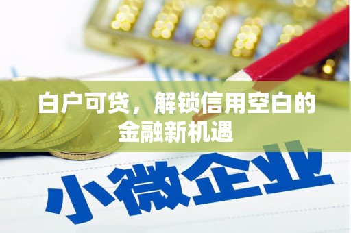 土默特左旗白户可贷，解锁信用空白的金融新机遇