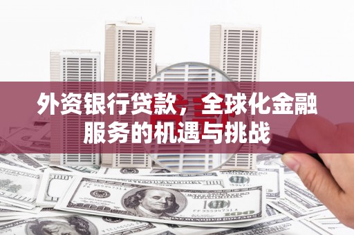 舞钢外资银行贷款，全球化金融服务的机遇与挑战