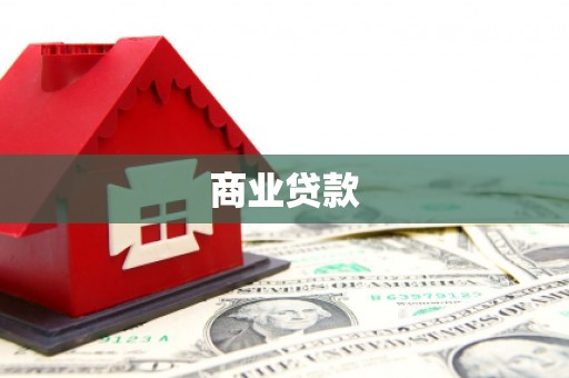 大内商业贷款
