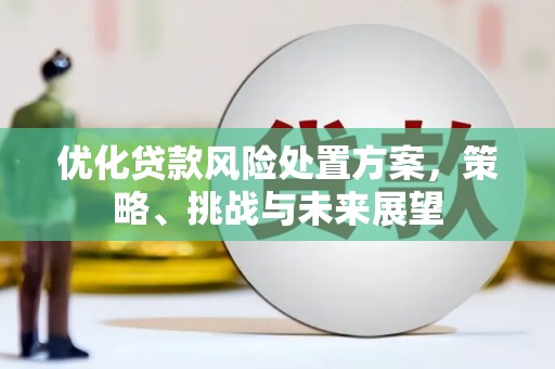 鸡冠优化贷款风险处置方案，策略、挑战与未来展望
