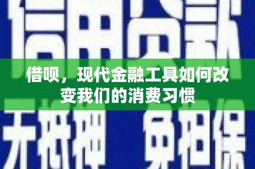 泉山借呗，现代金融工具如何改变我们的消费习惯