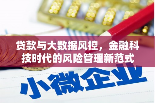 塔河贷款与大数据风控，金融科技时代的风险管理新范式