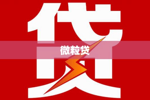 芦山微粒贷