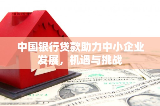 共和中国银行贷款助力中小企业发展，机遇与挑战