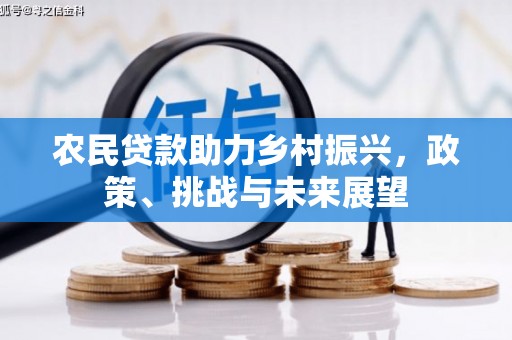 栾城农民贷款助力乡村振兴，政策、挑战与未来展望