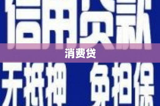 宝兴消费贷