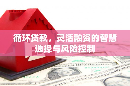 永州循环贷款，灵活融资的智慧选择与风险控制