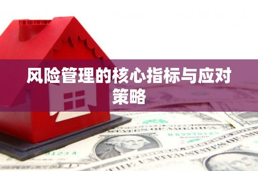 安溪风险管理的核心指标与应对策略