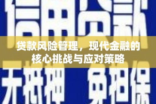 铁锋贷款风险管理，现代金融的核心挑战与应对策略