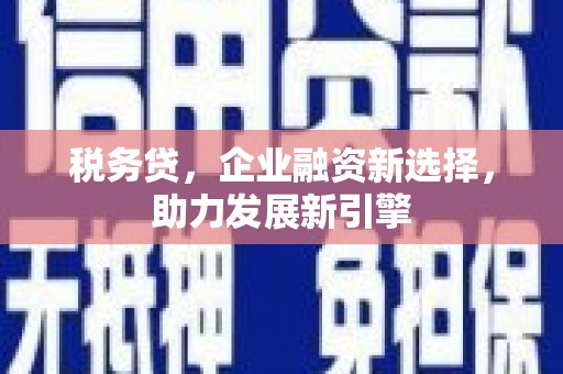 阜阳税务贷，企业融资新选择，助力发展新引擎