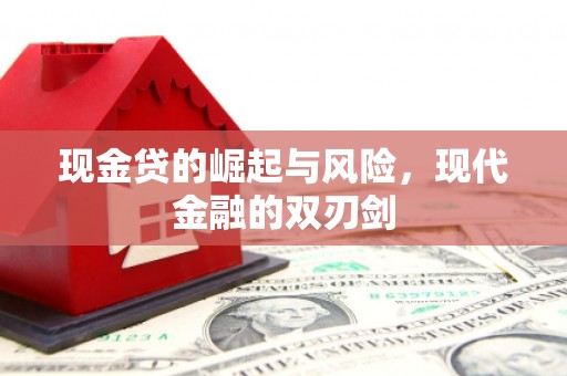 坪山新区现金贷的崛起与风险，现代金融的双刃剑