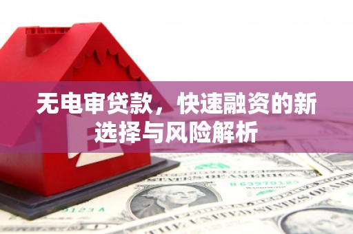 普兰店无电审贷款，快速融资的新选择与风险解析