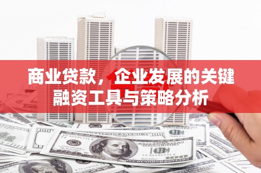 循化商业贷款，企业发展的关键融资工具与策略分析